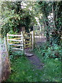 Gate onto Spring Lane