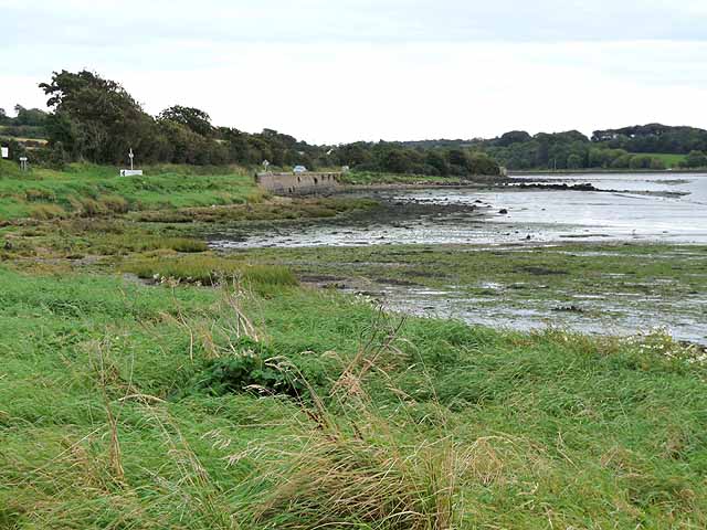 Shoreline at the upper end of Bannow Bay