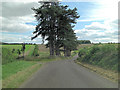 Stockbridge Road west of Daisy Down Farm