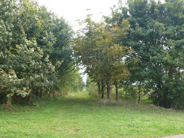 Linwood Lane near Linwood Farm
