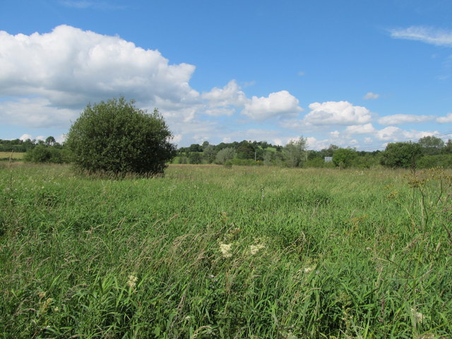 Wetland in the Annalee Valley © Eric Jones cc-by-sa/2.0 :: Geograph Ireland