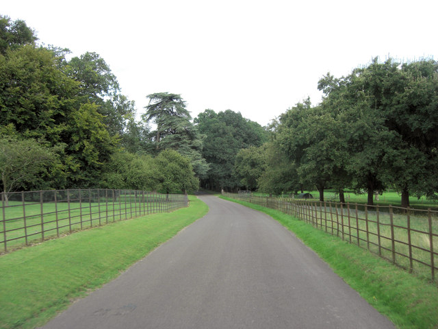 Unnamed lane through Leckford Arboretum
