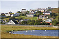 Houses at Westerloch, Lerwick