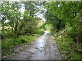 The village road heading south to the B846