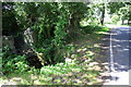 Culvert over stream on west side of the A6108 (The Busks)