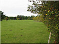 Farmland near Home Farm, Bradwell Grove