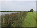 TL4687 : Farm reservoir at Boon's Farm by Hugh Venables
