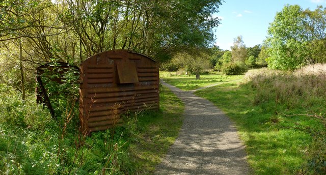 Path in Duchess Wood
