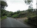 SX5351 : Danger Pheasant crossing Ford Brook Lane by Steve  Fareham
