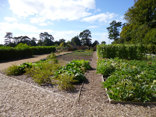 Kingston Lacy Kitchen Garden © Mike Faherty Geograph Britain And 1982