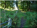 Path junction on the Blorenge above Llanfoist wharf