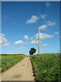 Farm track to Snoring Road, Kettlestone