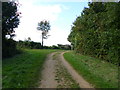 ST9700 : Kingston Lacy, bridleway junction by Mike Faherty