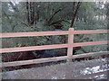 Bridge over the Afon Glandy