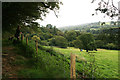 View from footpath below Cotley