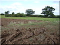 Farmland near Hunningham