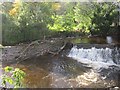 Weir, Bridge of Allan