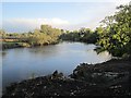 Scrub clearance, Stirling Harbour