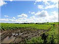 Cropfields at Fellside