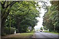 Looking northwards on Cave Road, Brough