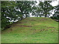 Motte mound at Mathrafal Castle