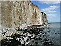 TQ4200 : Cliffs and Beaches at Peacehaven Heights by Paul Gillett