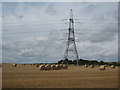 Electricity pylon and straw bales