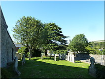 SZ5277 : St Mary & St Rhadegund, Whitwell: churchyard (i) by Basher Eyre