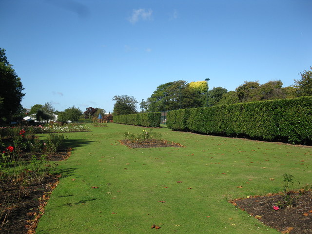 Salt Hill Park Rose Garden C Don Cload Geograph Britain And Ireland