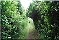 Footpath to Holborough