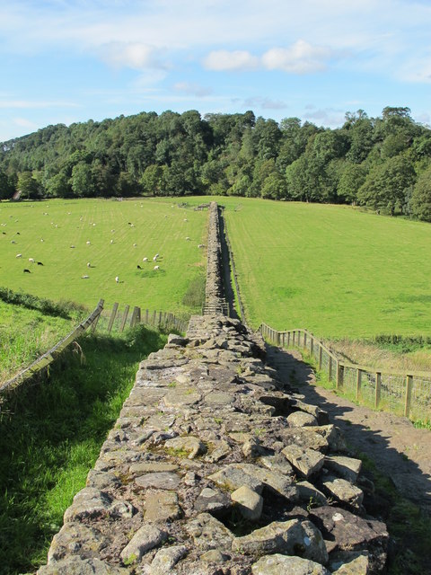 Hadrian's Wall between Willowford Farm and the River Irthing
