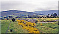 Remnants of (original) Cromdale station, 1988