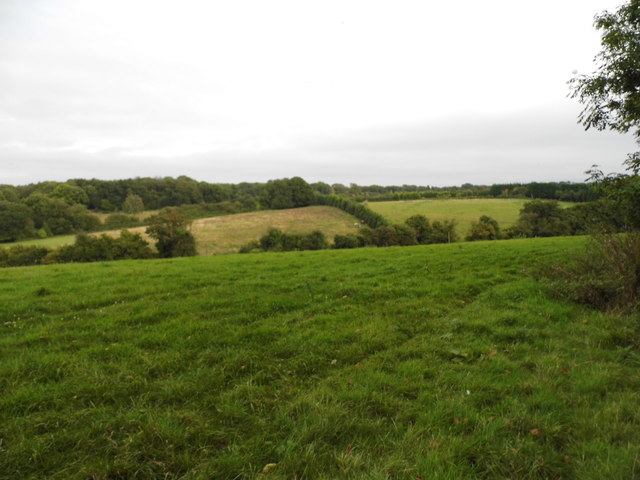 Fields by Charmwood Lane, Pratt's Bottom