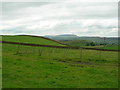 Fields east of Great Edge Farm