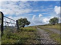 Former Tramroad near to Rassau (1)