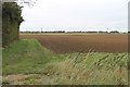 TF1644 : Fields near Heckington, off A17 road by J.Hannan-Briggs