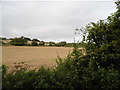 Fields by Shacklands Road, Shoreham