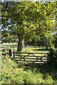 Gate and track, Ham