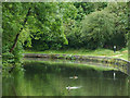 Grand Union Canal near South Yardley, Birmingham