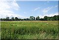 Farmland by the canal