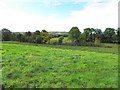 Seskinore Townland