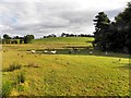 Letfern Townland