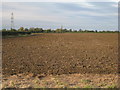 View towards Ewerby