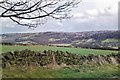 From Nethergate across Rivelin Valley