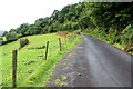 Road to Gwarallt Woods near Cregrina, Powys