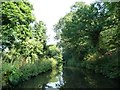 SO8278 : Tree-lined Staffs and Worcs canal by Christine Johnstone