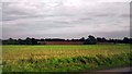 Farmland near Penlan Hall Lane