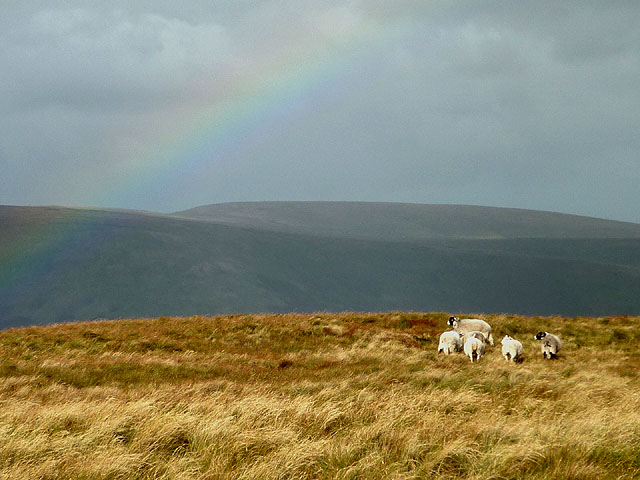 Sheep and rainbow, Point 673m