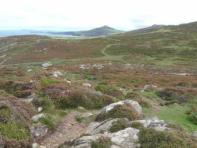 Paths and plateau east of St David's Head