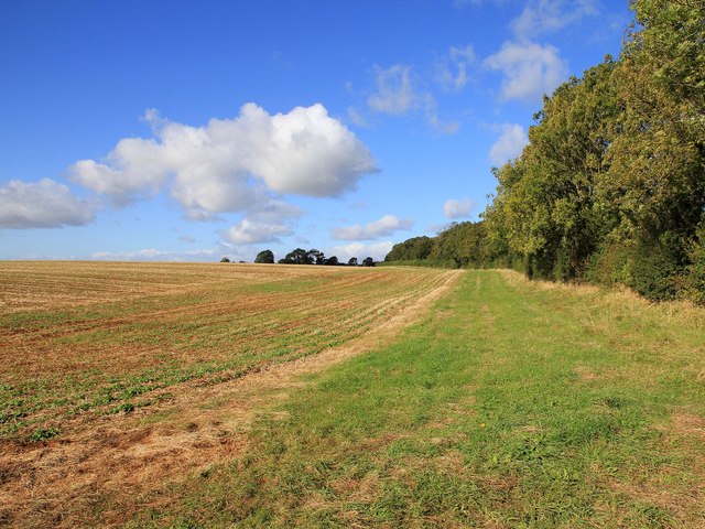 Fields south of Camp Lane